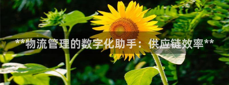 28圈加拿大模拟器：**物流管理的数