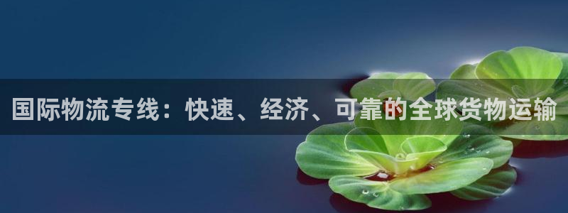 28圈模拟器在线使用：国际物流专线：