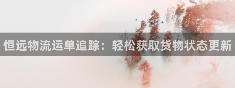 28圈游戏官网平台：恒远物流运单追踪