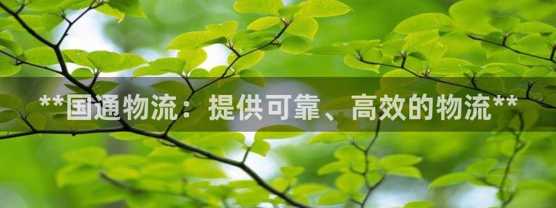 加拿大28圈是什么：**国通物流：提
