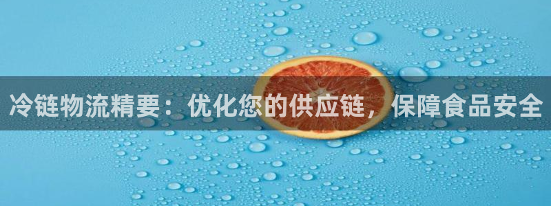 28圈初始资金密码是什么：冷链物流精