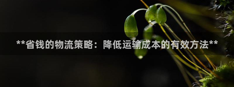 28圈推广链接是多少钱一个：**省钱