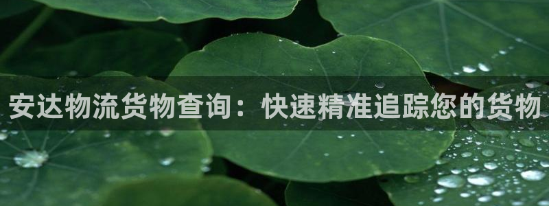 28圈注册登录流程：安达物流货物查询