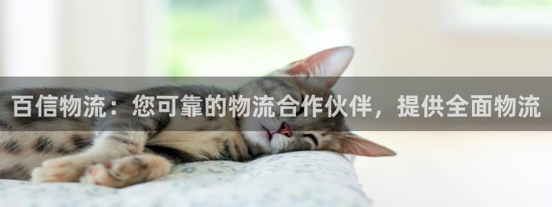 28圈注册与教程：百信物流：您可靠的