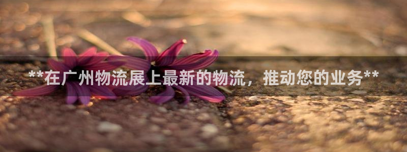 28圈的自行车：**在广州物流展上最