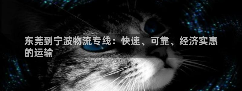 28圈官网网站：东莞到宁波物流专线：快速、可靠、经济实惠
的
