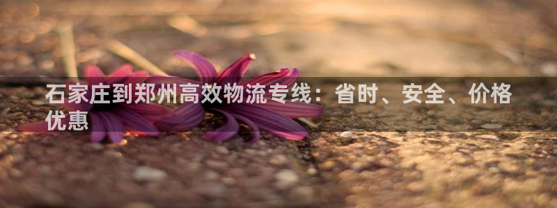 28圈链接