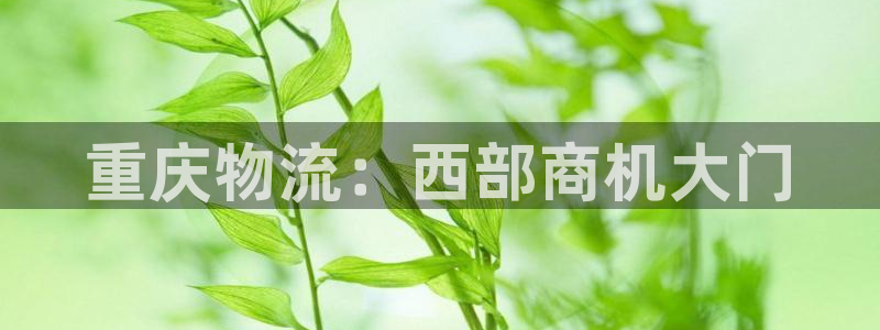28圈账号注册：重庆物流：西部商机大