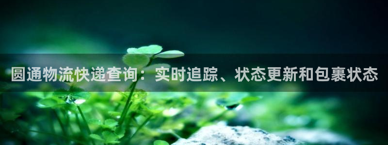 28圈那个才是充值账号：圆通物流快递