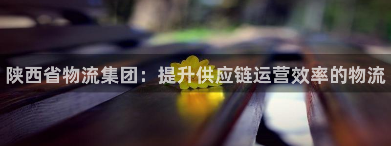 28圈官方网站预测：陕西省物流集团：提升供应链运营效率的物流