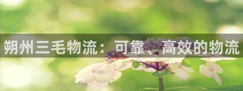 28圈麻将胡了：朔州三毛物流：可靠、