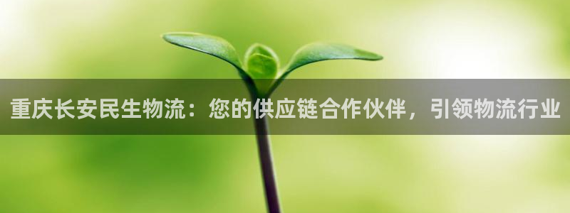 28圈官网版下载：重庆长安民生物流：