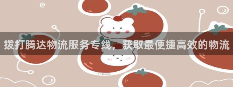 28圈激活码：拨打腾达物流服务专线，获取最便捷高效的物流