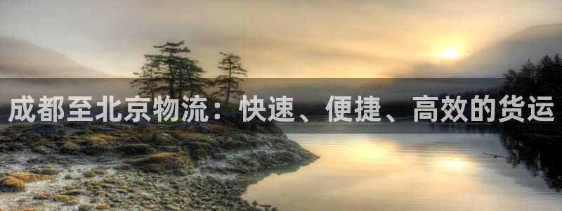 28圈充值不处理：成都至北京物流：快