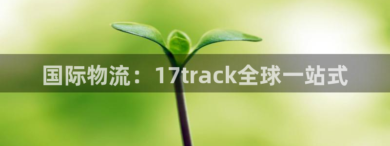 28圈充值不处理