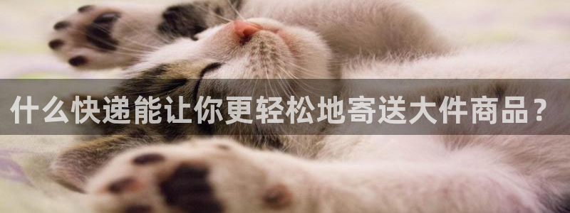 28圈官网平台下载