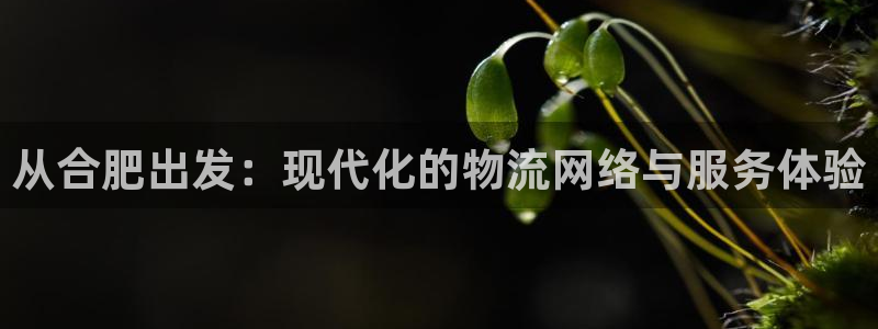 28圈官方网站预测