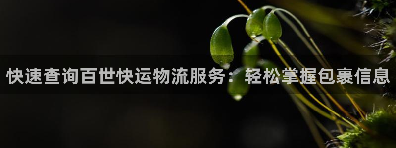 28圈官网开奖结果预测