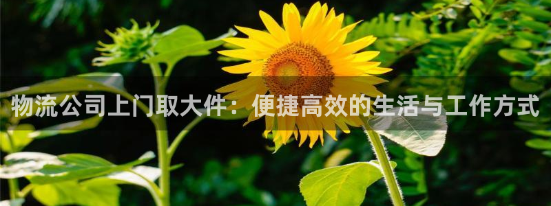 28圈怎么下载不了