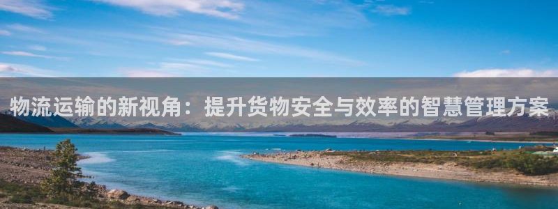 28圈代理落网