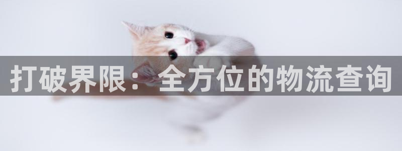 28圈下载二维码