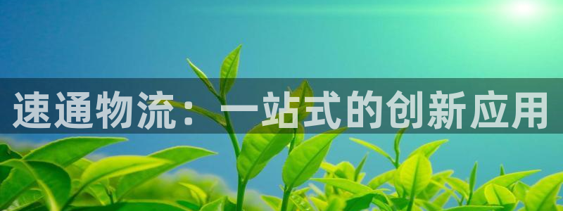28圈官网版所有版本：速通物流：一站式的创新应用