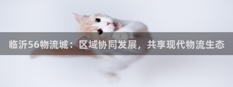 28圈软件有什么用：临沂56物流城：