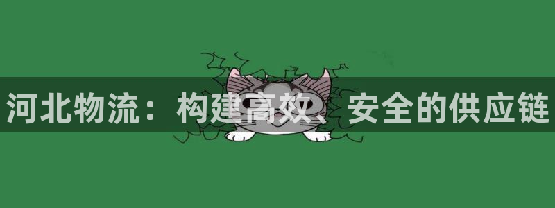 28圈在线预测:河北物流:构建高效、