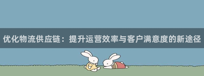 28圈注册网站链接:优化物流供应链: