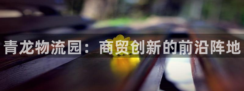 28圈吧:青龙物流园:商贸创新的前沿