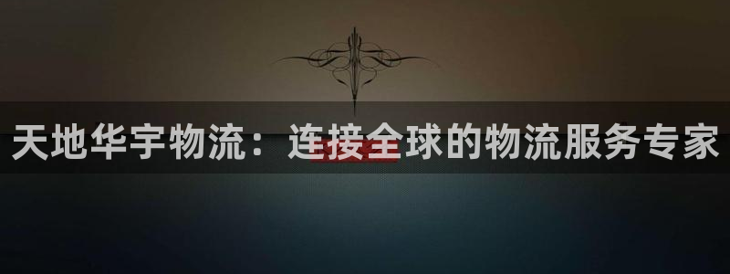 28圈充值不到账什么原因:天地华宇物