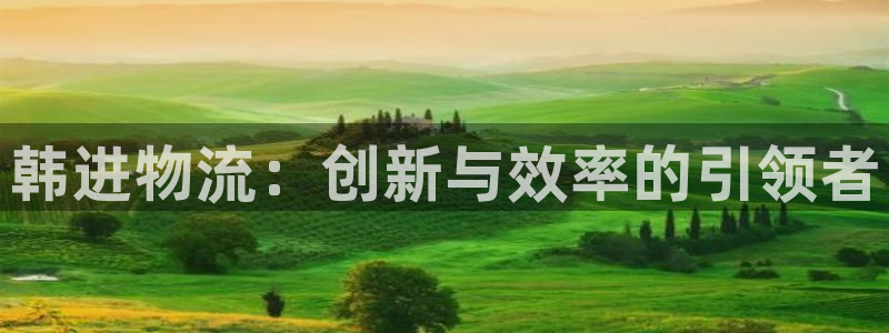 28圈怎么注册:韩进物流:创新与效率