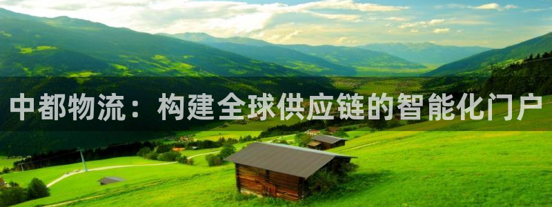 28圈注册网站多少钱一个：中都物流：