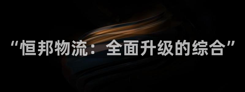 28圈圈:“恒邦物流:全面升级的综合