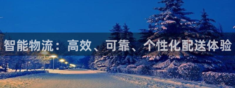 28圈注册网站多少钱一个:智能物流: