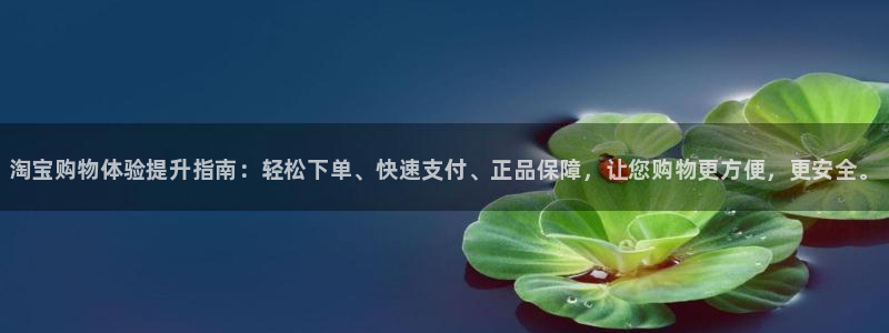 28圈游戏官网平台:淘宝购物体验提升