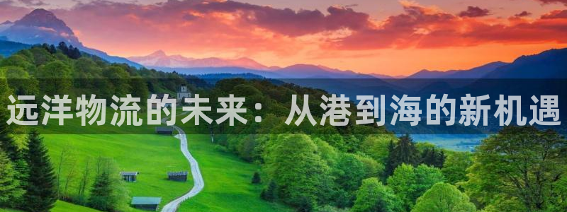 28圈自行车图片:远洋物流的未来:从